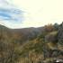 Hayedo La Pedrosa,mar de Robles; floracion de cieza rutas senderismo teruel urederra ruta las machot